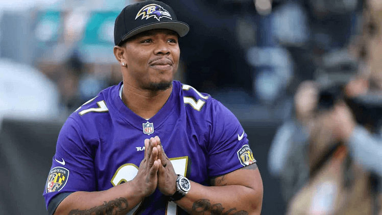 ray rice net worth